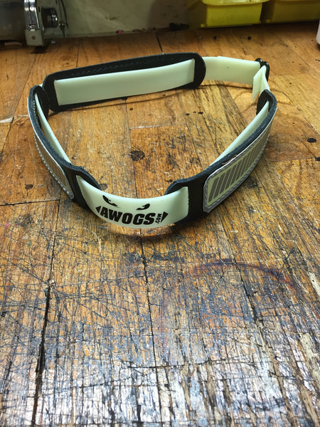 FDL/AWOGS Photo-Luminescent Helmet Band